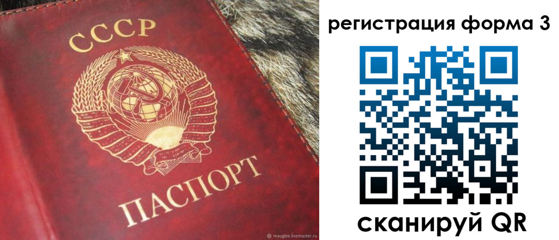 прописка регистрация в Болотном